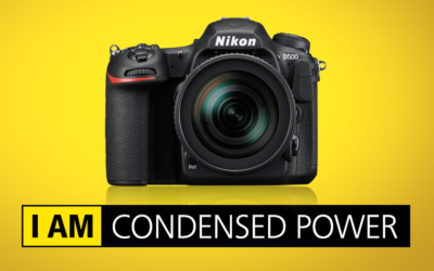 Nikon D500 a Sigma 50-100/1.8